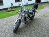 Suzuki vz800 Marauder