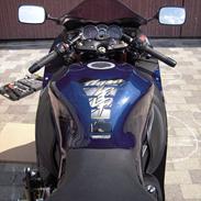 Suzuki GSXR 1340 Hayabusa