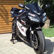 Honda CBR 1000 RR Fireblade "SOLGT"