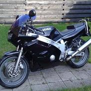 Yamaha FZR 600