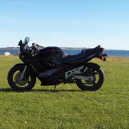 Suzuki 600 GSX F