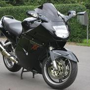Honda CBR 1100 Blackbird