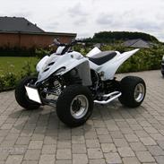 Yamaha YFM 350R (SOLGT)