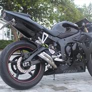 Yamaha YZF R6 05 model