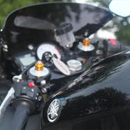 Yamaha YZF R6 05 model
