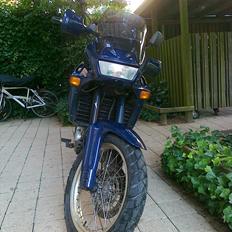 Aprilia Pegaso 650 (SOLGT)