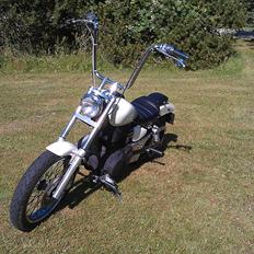 Suzuki Ls 650 Savage