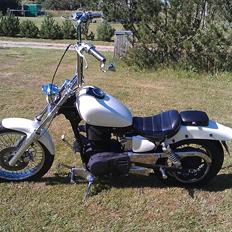 Suzuki Ls 650 Savage