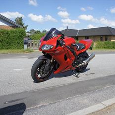 Suzuki Sv1000 R (PVM)