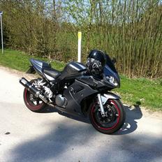 Suzuki SV1000S