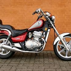 Kawasaki EN 500 Custom