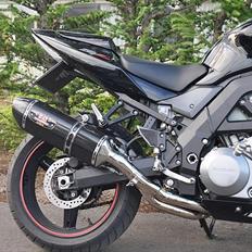 Suzuki SV 1000 N