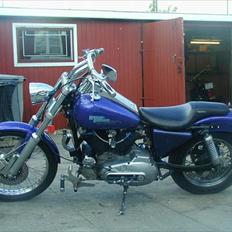 Harley Davidson Sporster