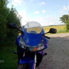 Honda cbr 954 fireblade