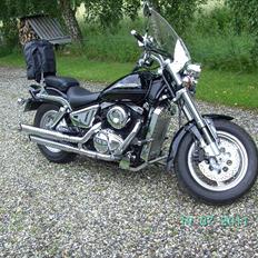 Suzuki vz800 Marauder