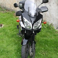 Suzuki DL-650 V-Strom