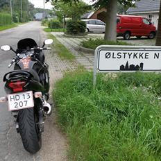 Suzuki Gsx 750F(Fluen)