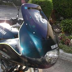 Yamaha Diversion xj 600 s (SOLGT)