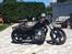 Regal Raptor Dadyw 250E Bobber