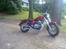 Jinlun 250-5 Chopser