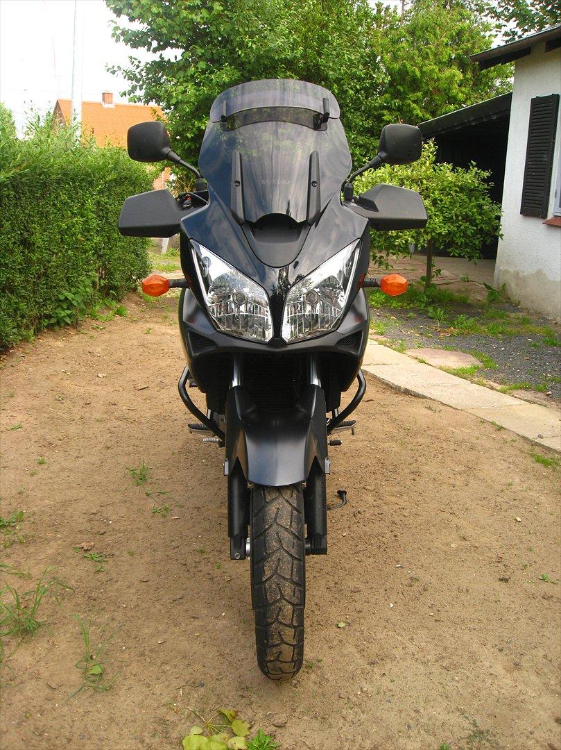 Suzuki DL 650A Black Rhino billede 4