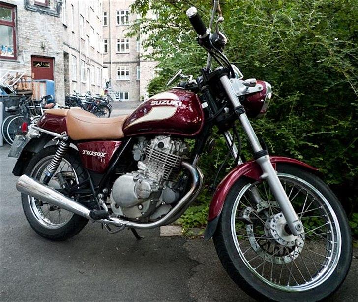 Suzuki TU250X billede 2