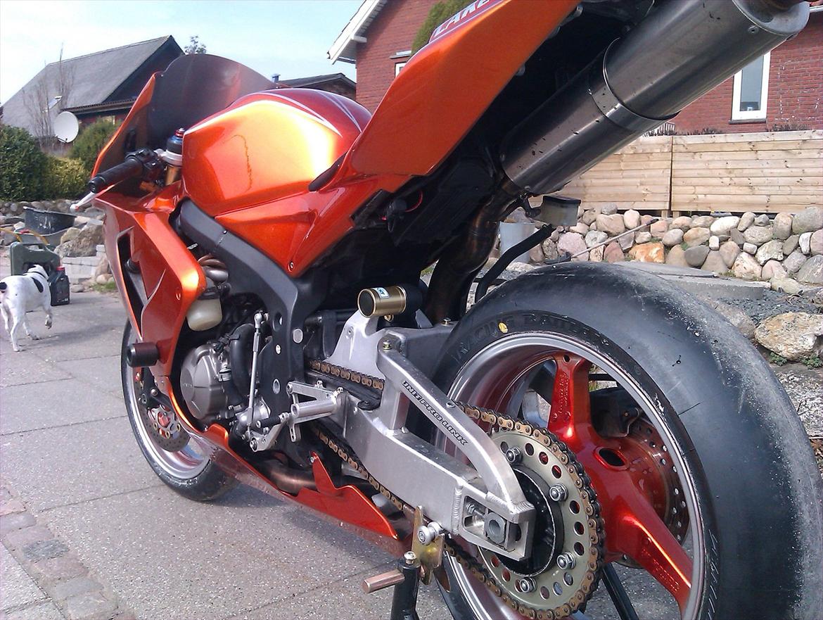 Honda CBR-600-RR billede 5