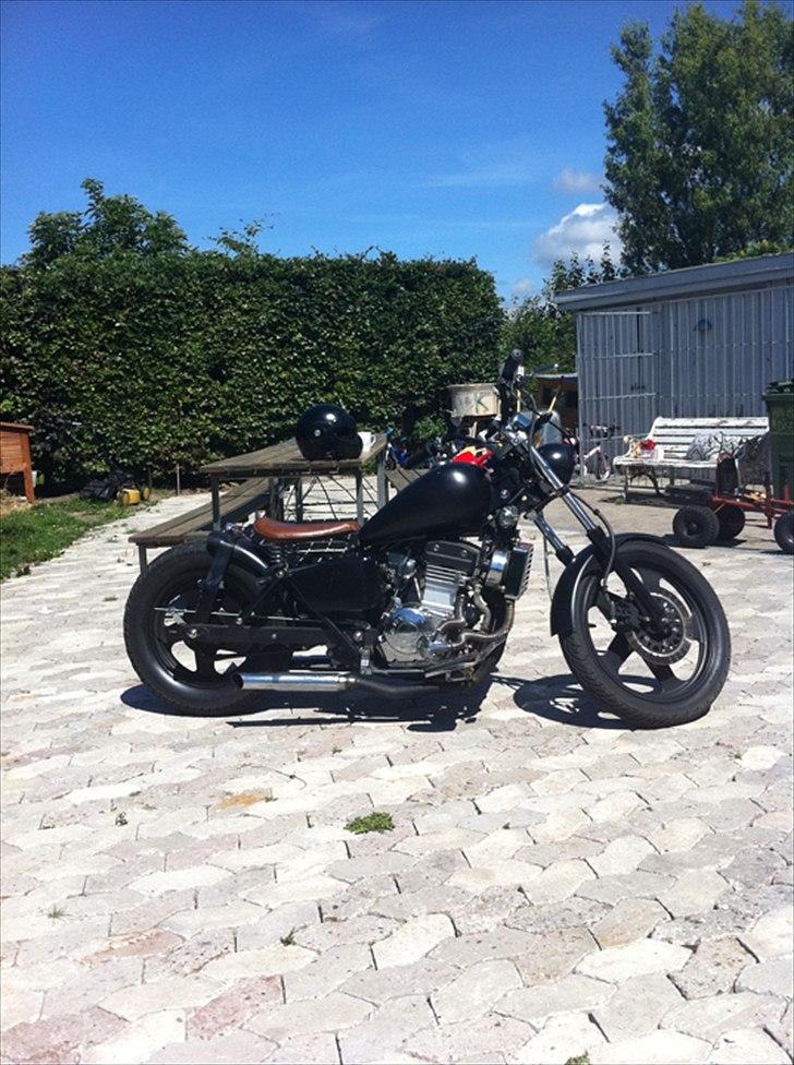 Regal Raptor Dadyw 250E Bobber billede 2