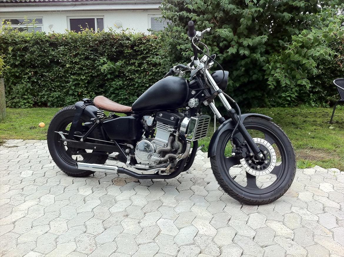 Regal Raptor Dadyw 250E Bobber billede 4