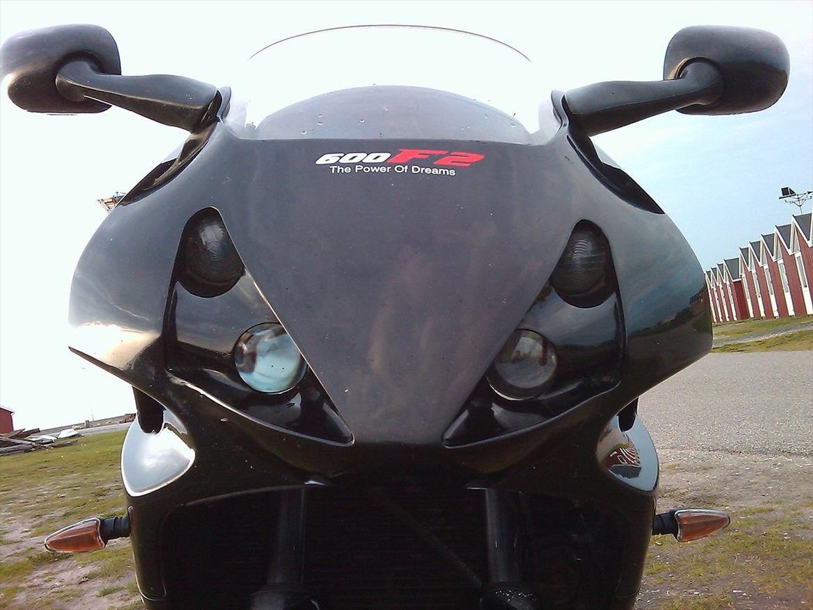 Honda CBR 600 f2 - Man kan næsten høre den knure hehe billede 3