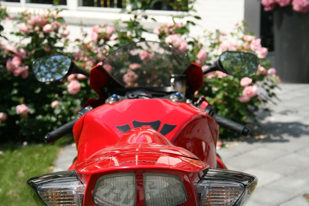 Suzuki GSX-R 600 billede 11