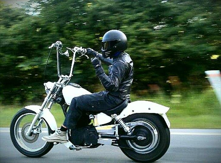 Suzuki Ls 650 Savage billede 15