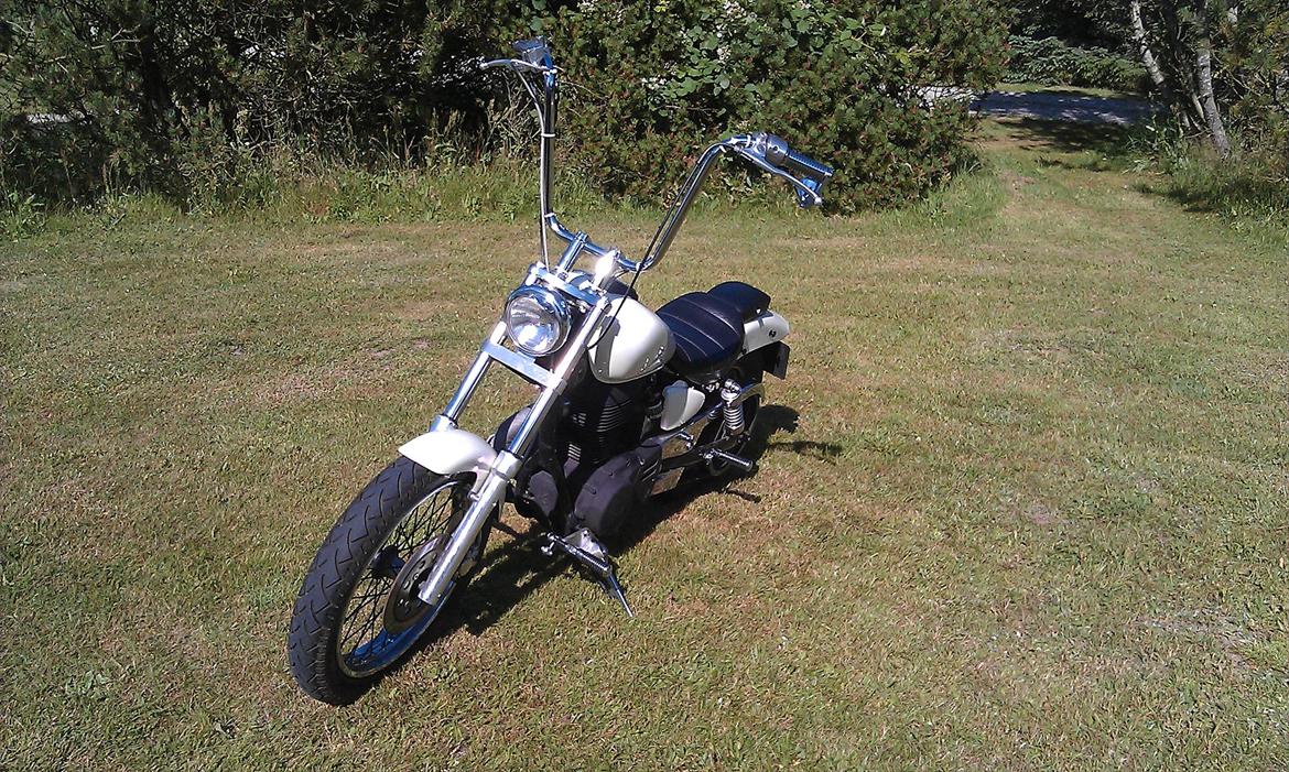 Suzuki Ls 650 Savage billede 2