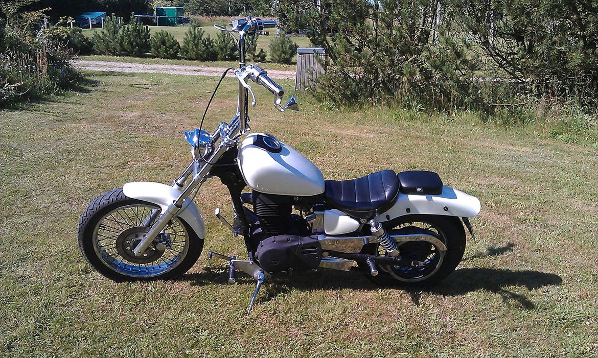 Suzuki Ls 650 Savage billede 3