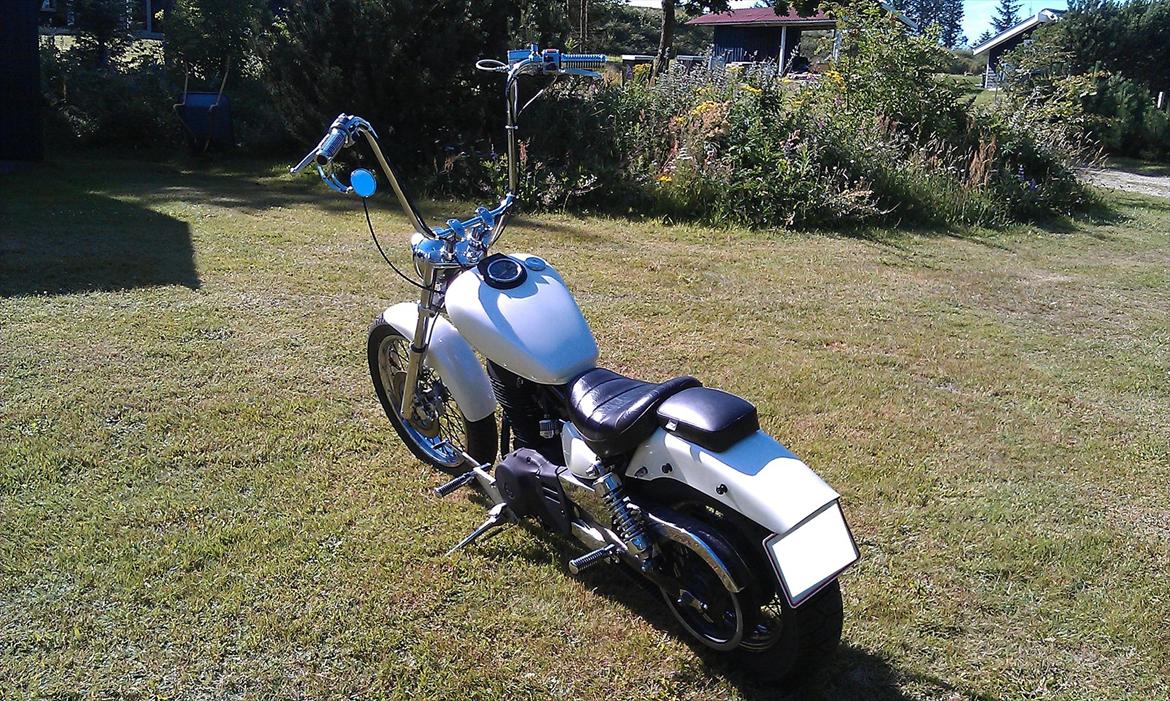 Suzuki Ls 650 Savage billede 4