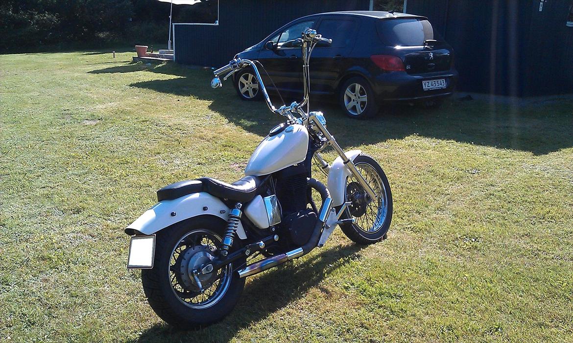 Suzuki Ls 650 Savage billede 6