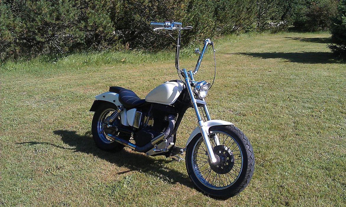 Suzuki Ls 650 Savage billede 7