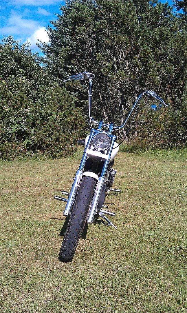 Suzuki Ls 650 Savage billede 8