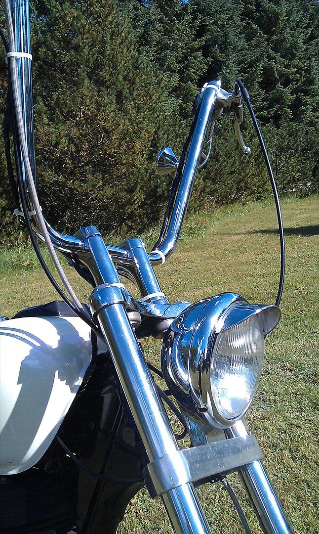 Suzuki Ls 650 Savage billede 14