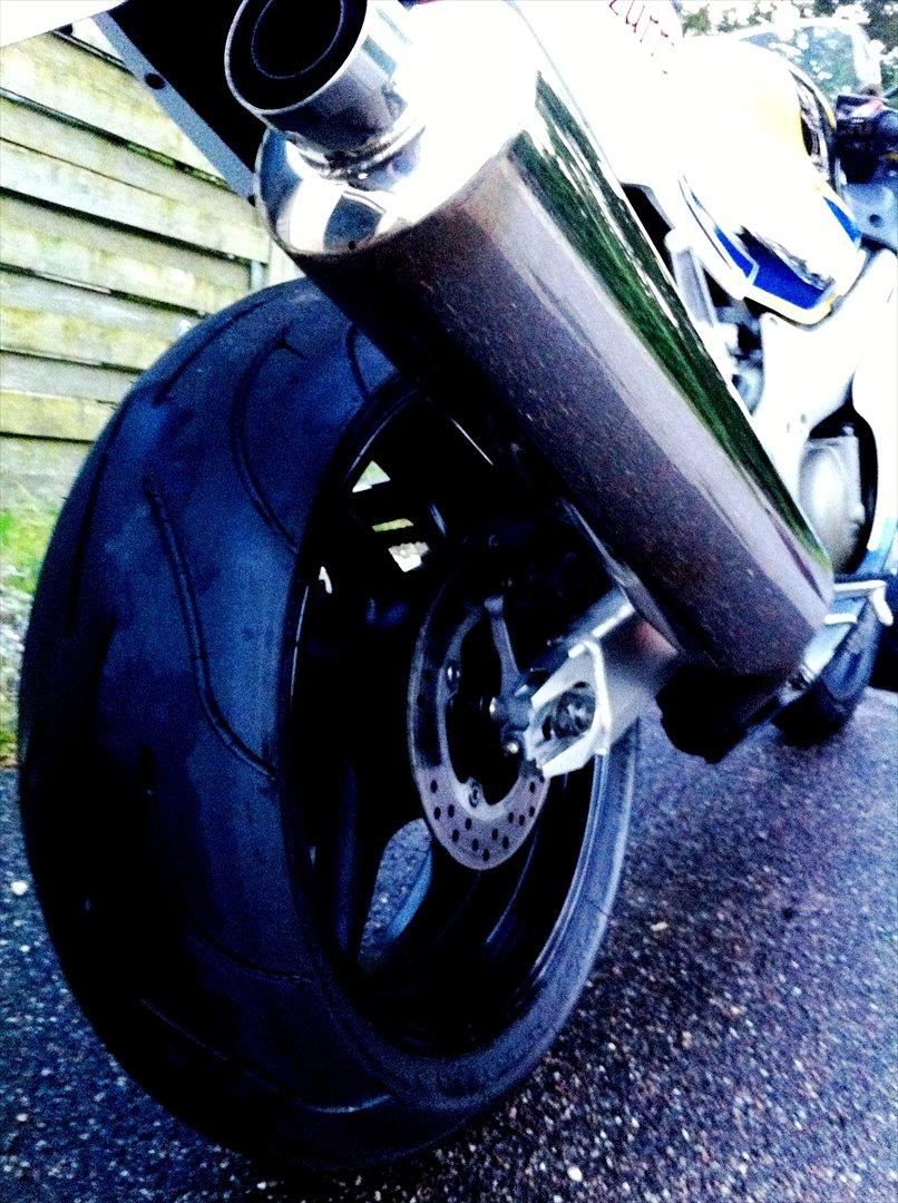 Honda CBR 600 F4i Sport Rossi - Standard udstødningen, en anden kommer forhåbentlig snart. Det sværeste er at bestemme sig for hvad det skal være for en.  billede 7