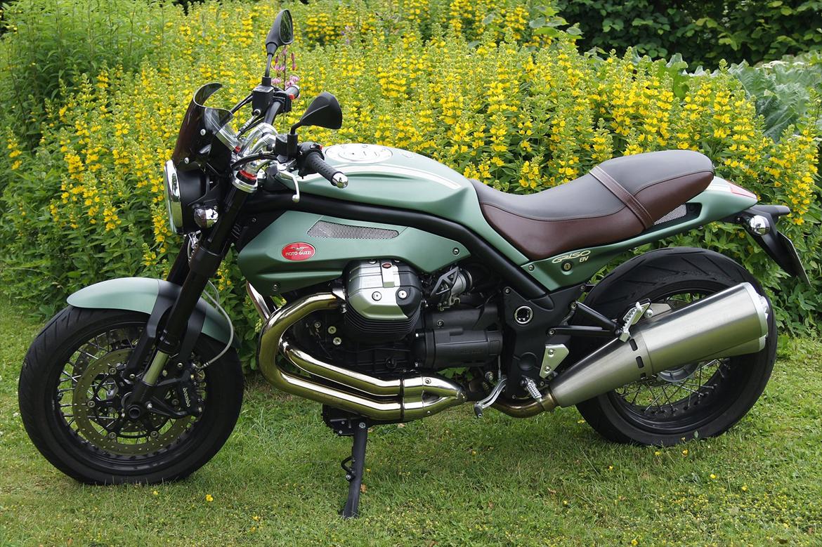 Moto Guzzi Griso 1200 8 V, SE - Farven er "Tenni-grøn", opkaldt efter Omobono Tenni, en legendarisk italiensk Guzzi-racer-kører. Vandt alt hvad der var værd at vinde i 1930`erne. billede 1