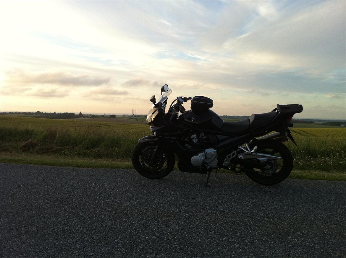 Suzuki gsf 1250 bandit - udsigt fra tornbybjerg billede 5
