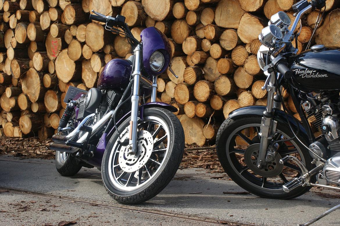 Harley Davidson Sportster XLS Iron Tidligere - Kammerats Dyna 2001... billede 13