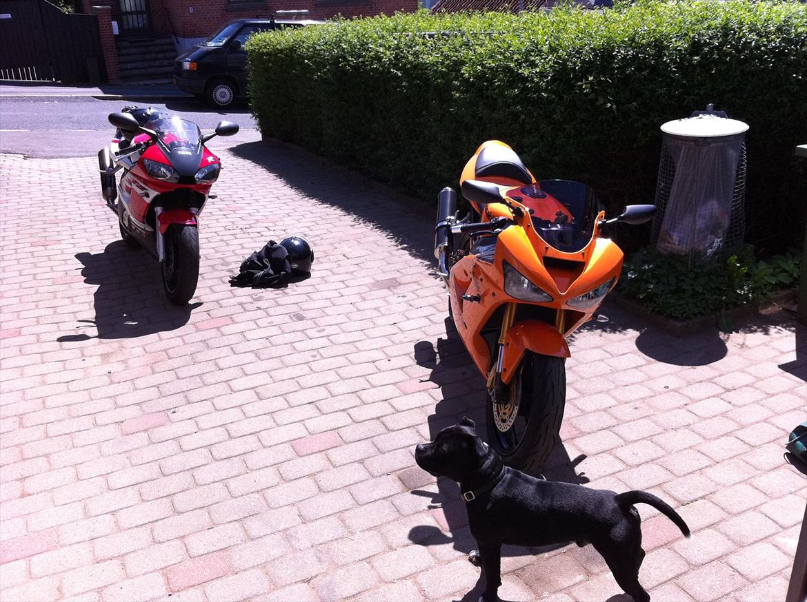 Yamaha YZF R6 billede 5