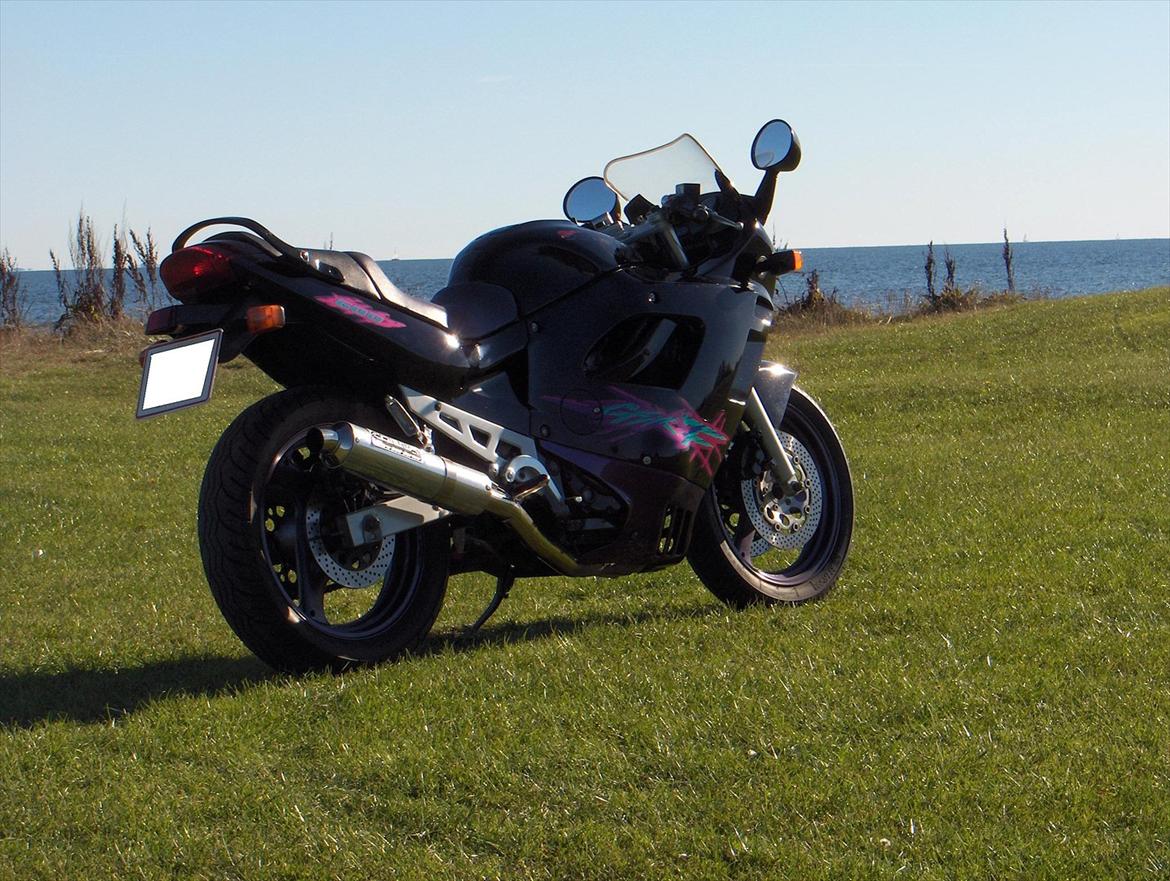 Suzuki 600 GSX F billede 1