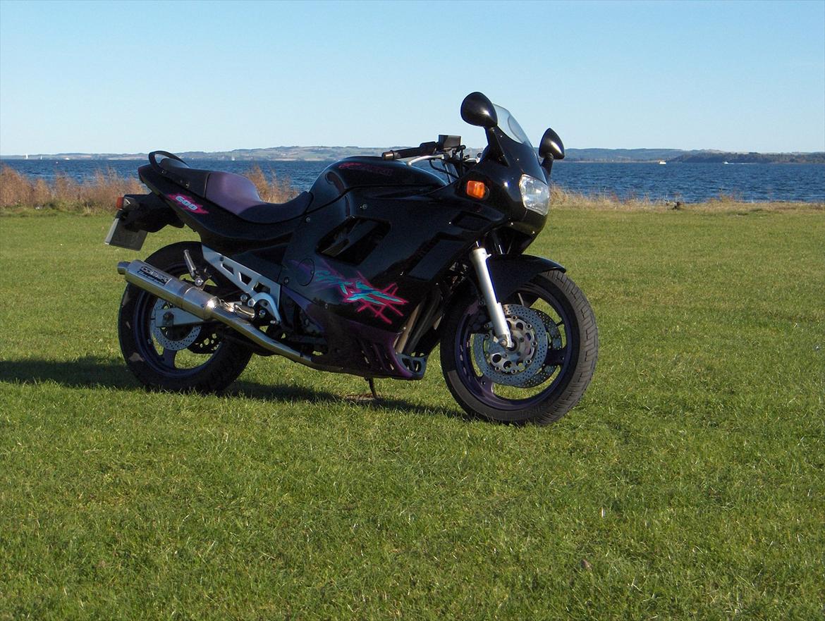Suzuki 600 GSX F billede 4