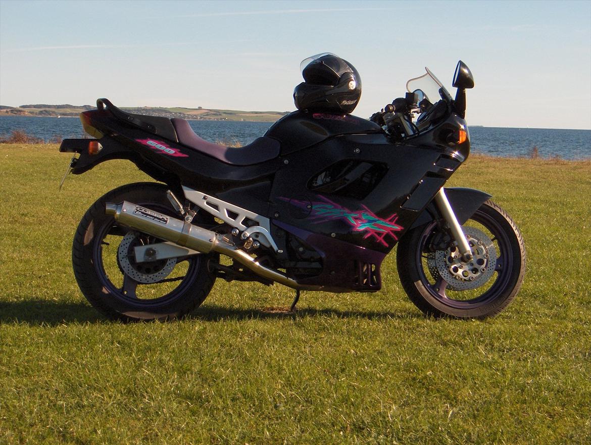 Suzuki 600 GSX F billede 8