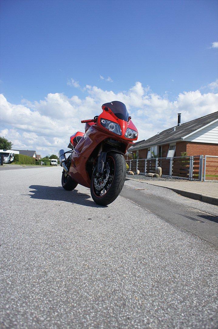 Suzuki Sv1000 R (PVM) billede 8