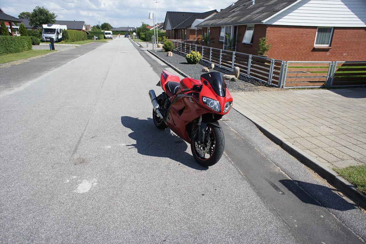 Suzuki Sv1000 R (PVM) billede 9