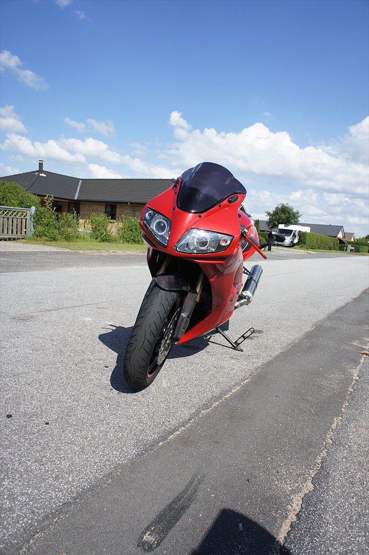 Suzuki Sv1000 R (PVM) billede 12